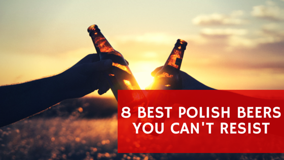 8 best polish beers you can not resist